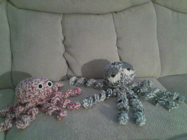 Scrappy Octopus