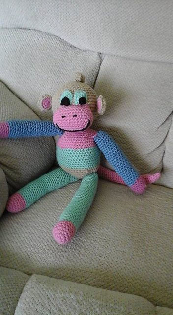 Top Down Colorful Monkey