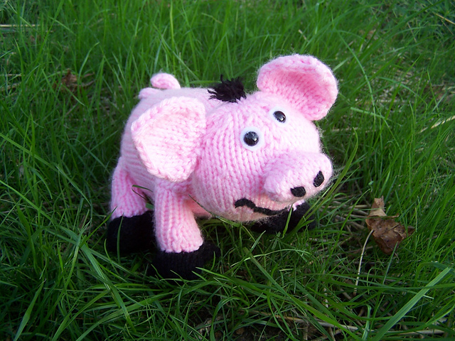 "P" the Pet Pig