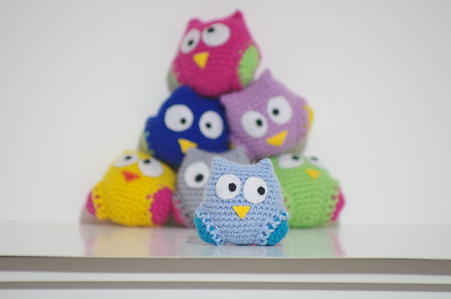 Little Owl