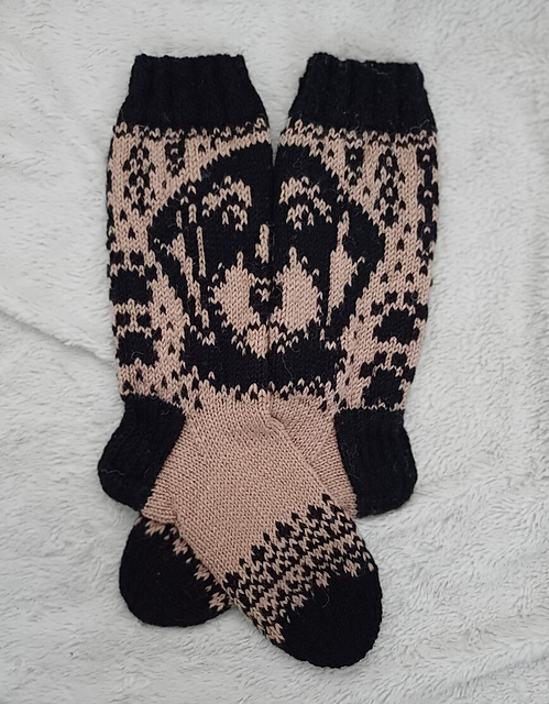 Mäykky (Dachshund)