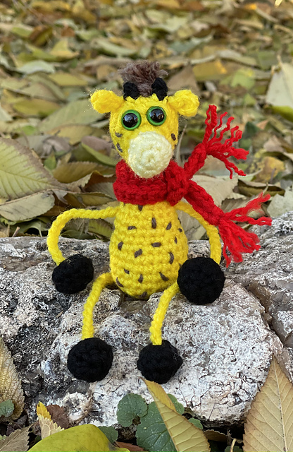 Fin the Giraffe