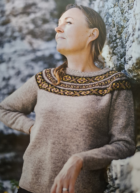 Oktröja Lichen / Lichen Yoke Pullover