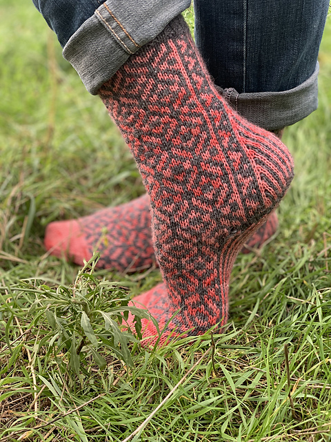 Socks coral