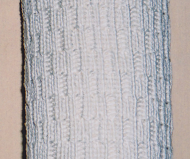 Rib 1