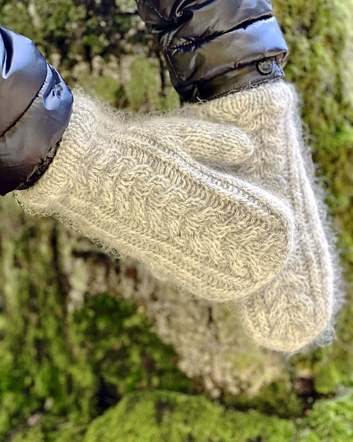 Twin Mittens