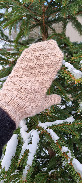 Ricamo mittens