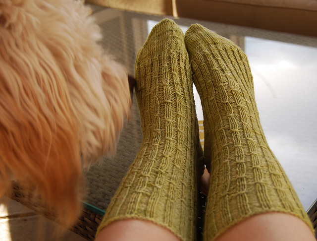 Tightrope Socks