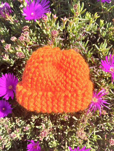 Wheel Cap Pattern Wool Ravelry: Woolly hats pattern by Jane Bull