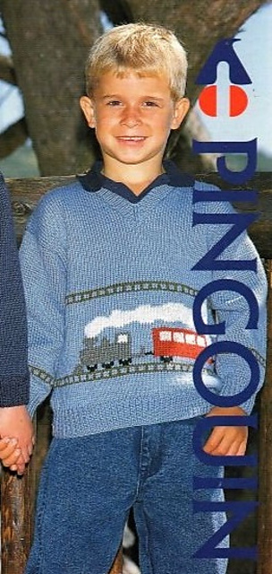 Train pullover 92.343