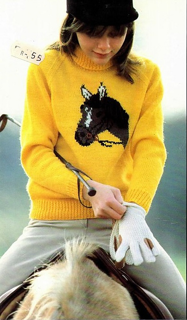Horse sweater