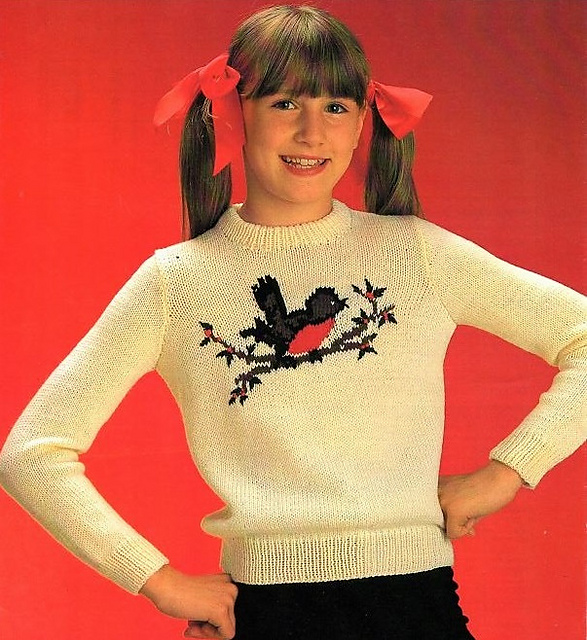 Sweater: Red Robin
