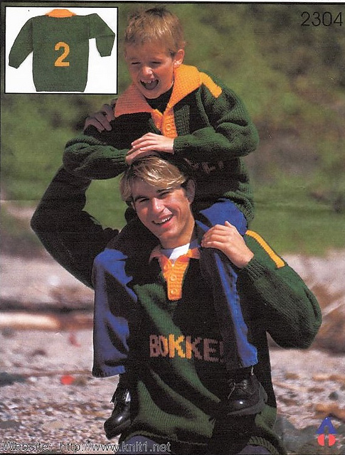 For The Supporters: Bokke!