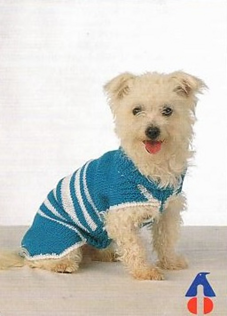 Woof Woof: Striped dog jacket