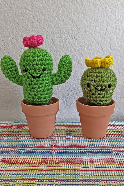 One-Hour Cactus
