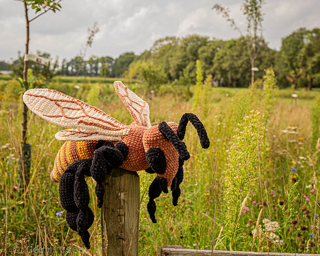Ravelry: Honey Bee pattern by Kate Gerrits