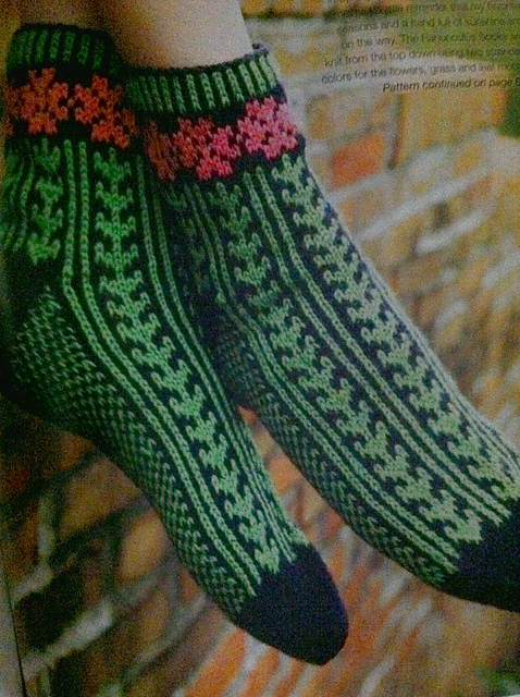 Ranunculus