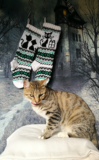 Cat Christmas Stockings