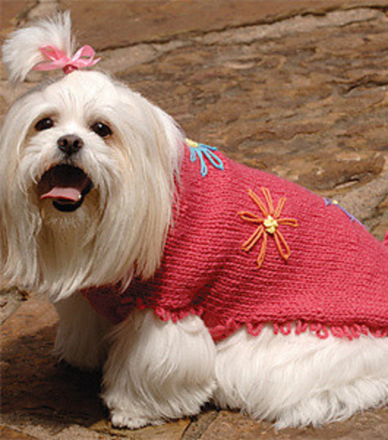 Lucy's Loops Dog Sweater