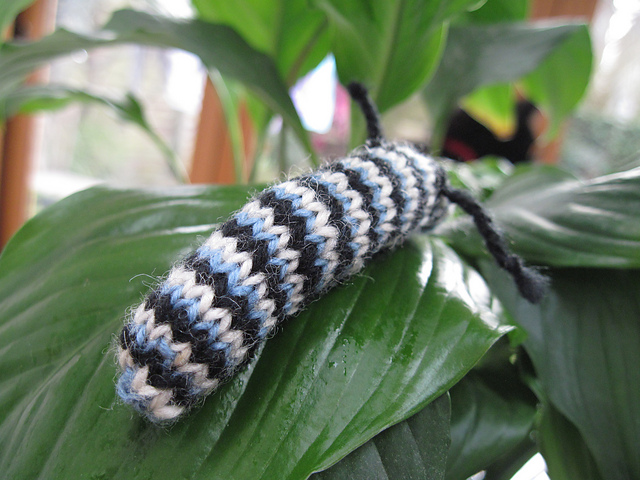 Monarch Caterpillar