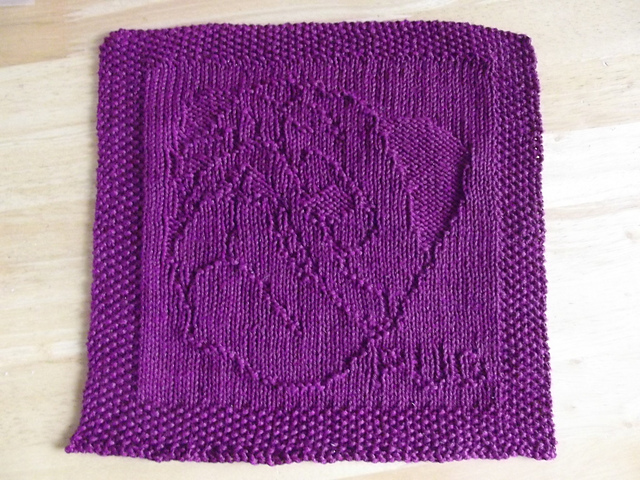 Pug Dog Washcloth