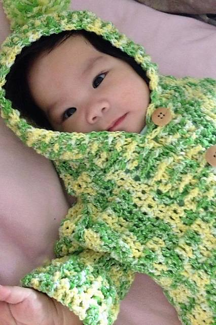 Baby Hooded Sweater