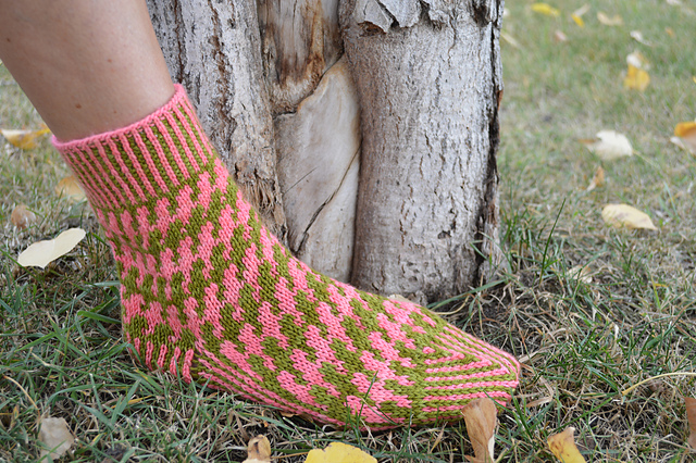 Zed socks Eh