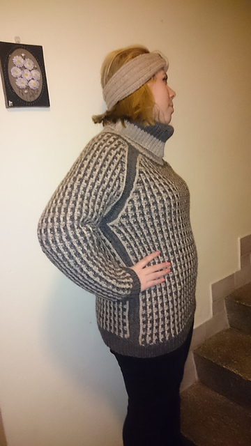 #15 Color Framed Raglan Pullover