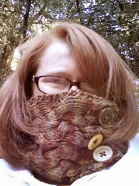 Autumn Breezes Neckwarmer