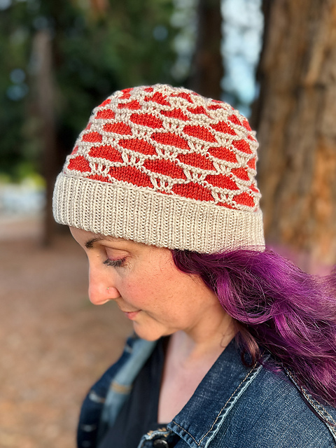 Forager Hat