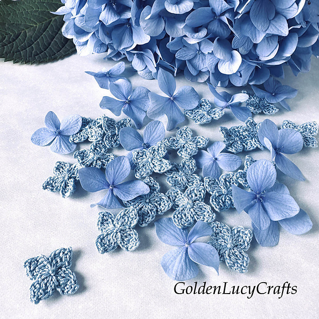 Hydrangea Flower