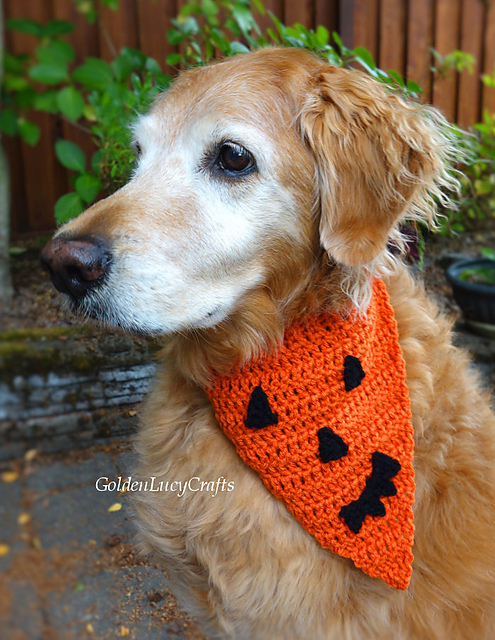 Pumpkin Face Halloween Dog Bandana
