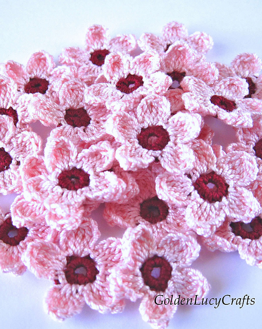 Cherry Blossoms