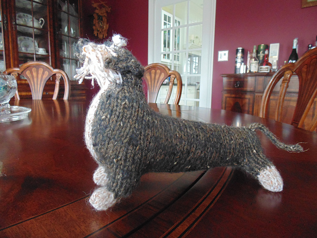 Wire-Haired Dachshund