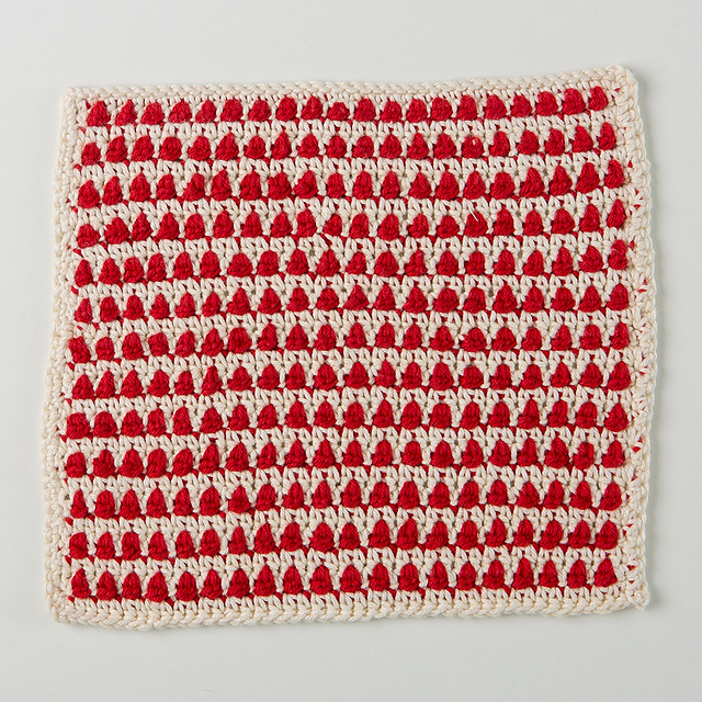 Berry Jam Jar Dishcloth