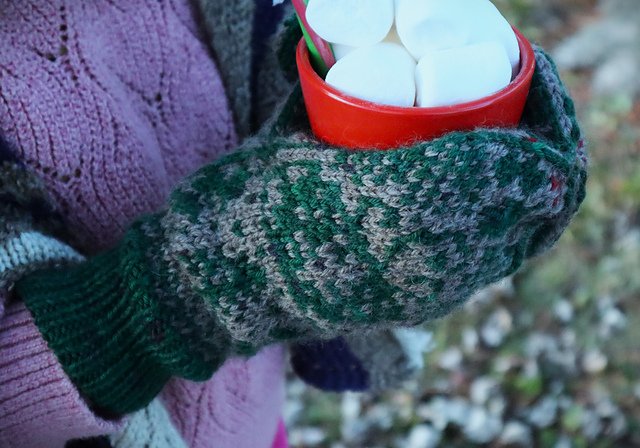 Cozy Cocoa Mittens