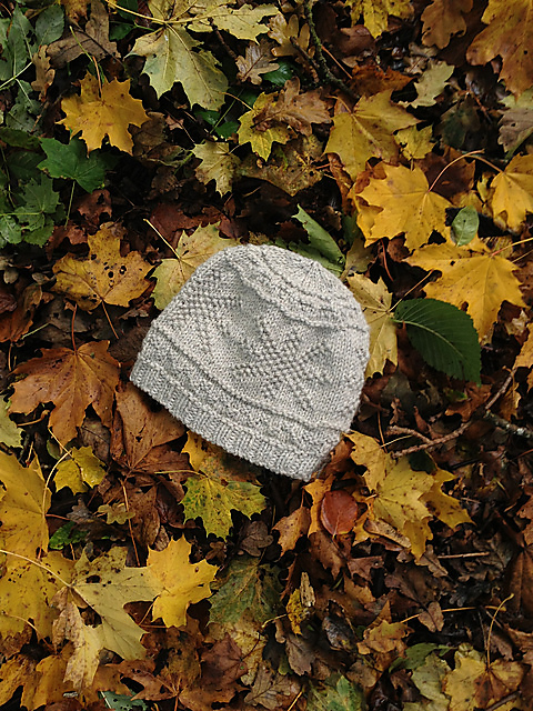 Structured Winter Beanie