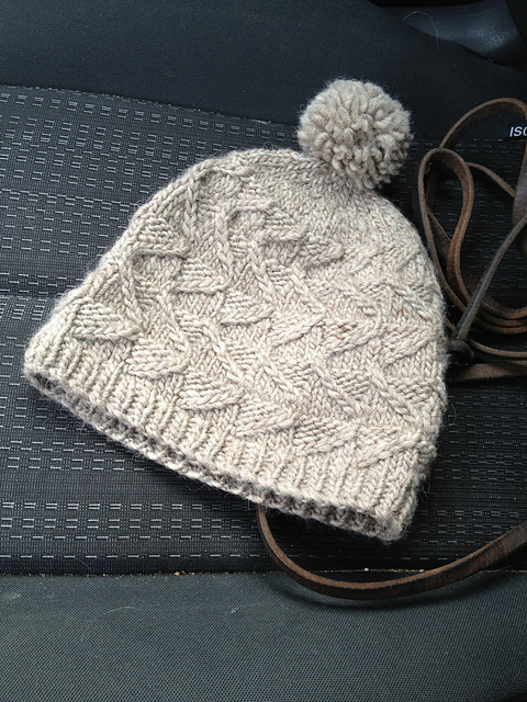 Advanced Beanie