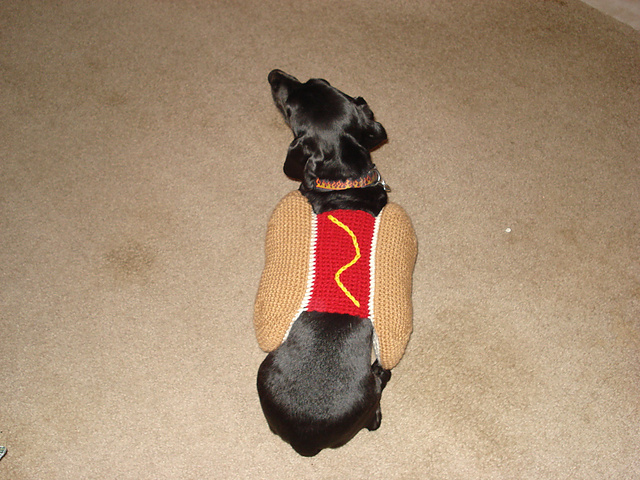 Hot Dog Coat