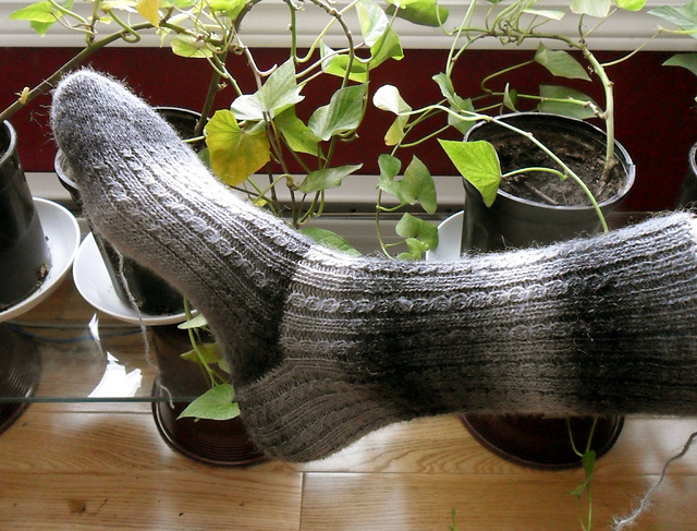 CoCoMan Socks
