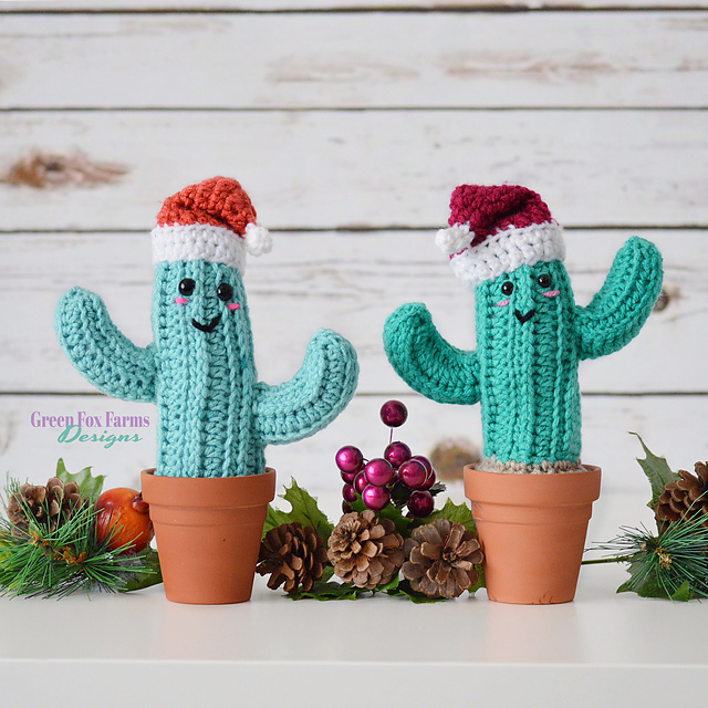 Christmas Cheer Cactus