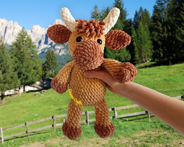 Highland Cow / Schottische Hochlandkuh