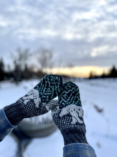 Northern Spirit Mittens