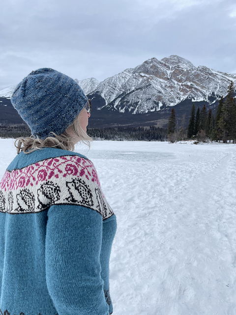Under The Hedge Pullover