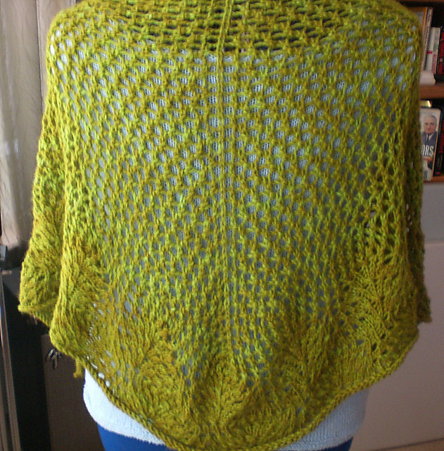 Bollywood Shawl