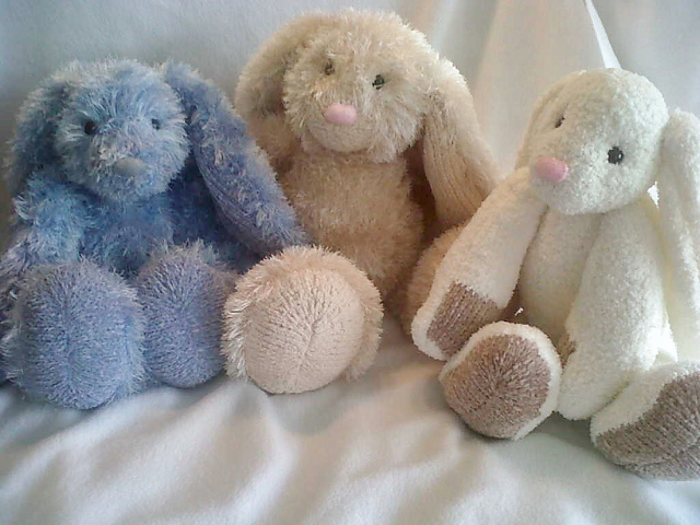Cuddly Bunny