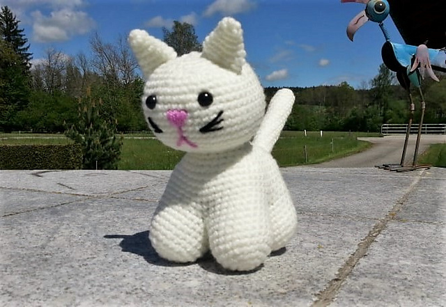 Katze