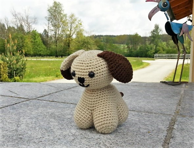 Hund