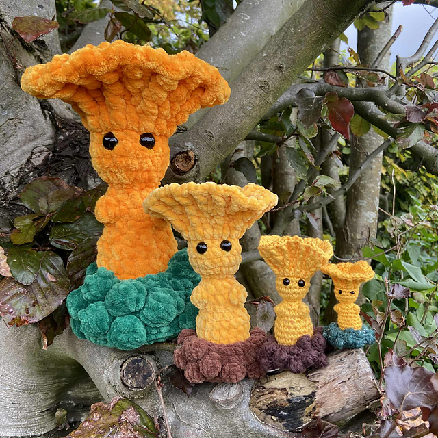 Chanterelle Mushkin