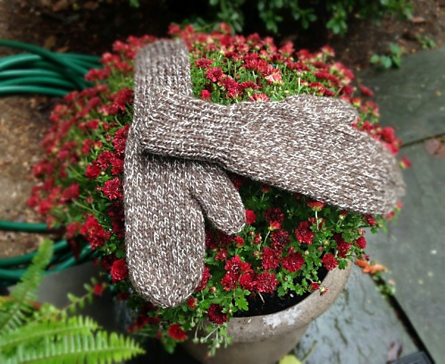 Basic Mittens